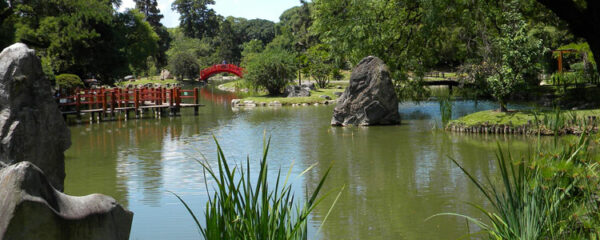 Le jardin botanique